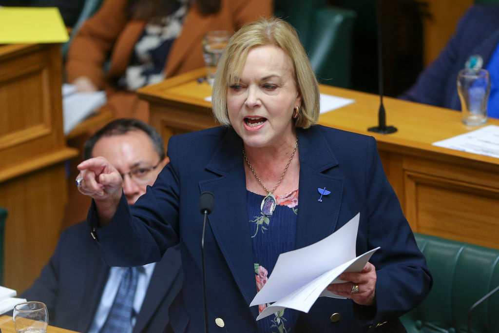 National leader Judith Collins speaks in Parliament after Finance Minister Grant Robertson...