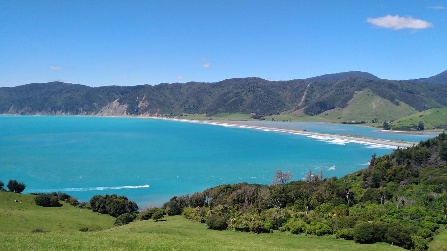 A view from Pepin Island. Photo: Supplied