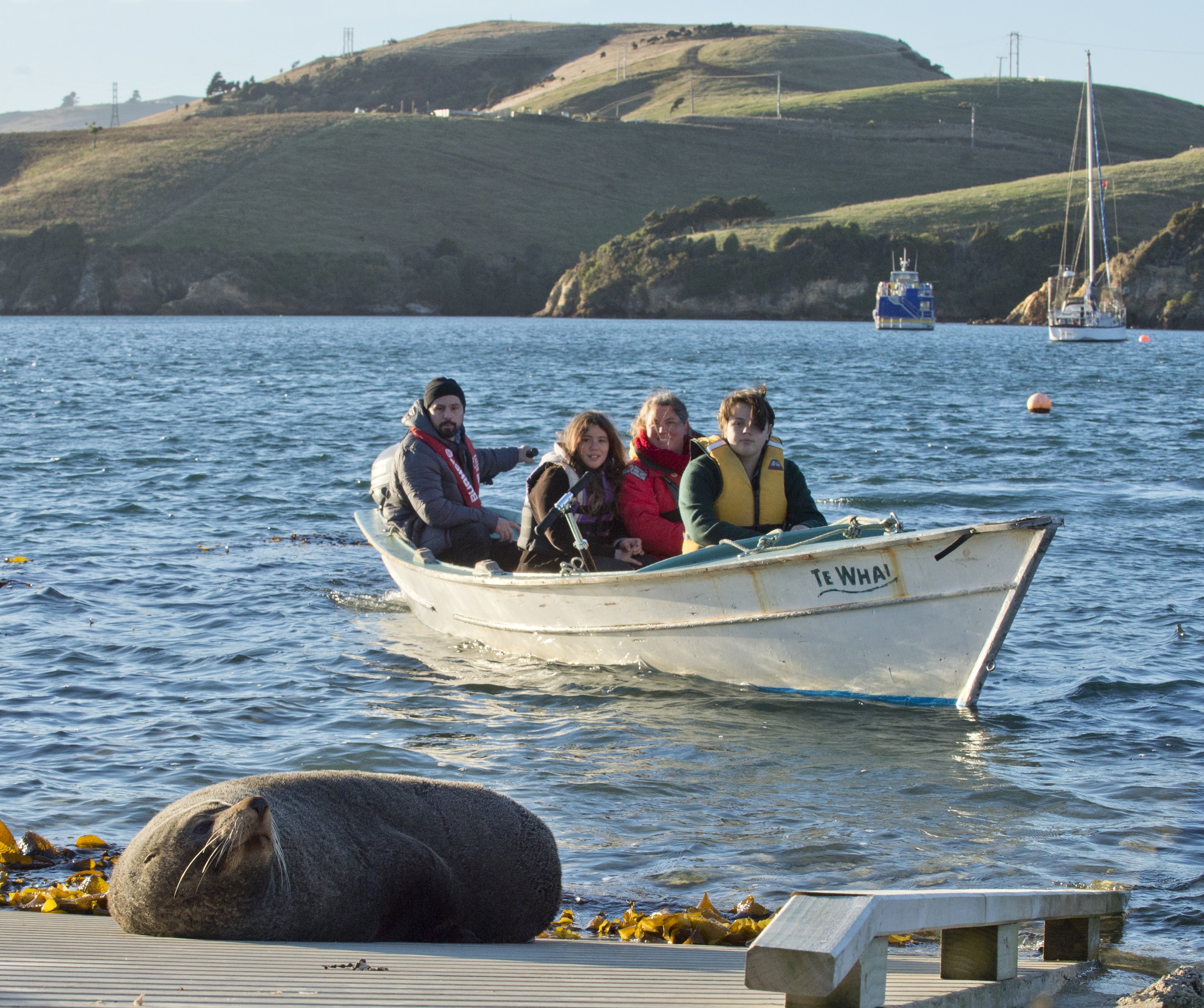 The Hughes family (from left) Gareth, Zoe, Meghan and Arlo take a look at the New Zealand fur...