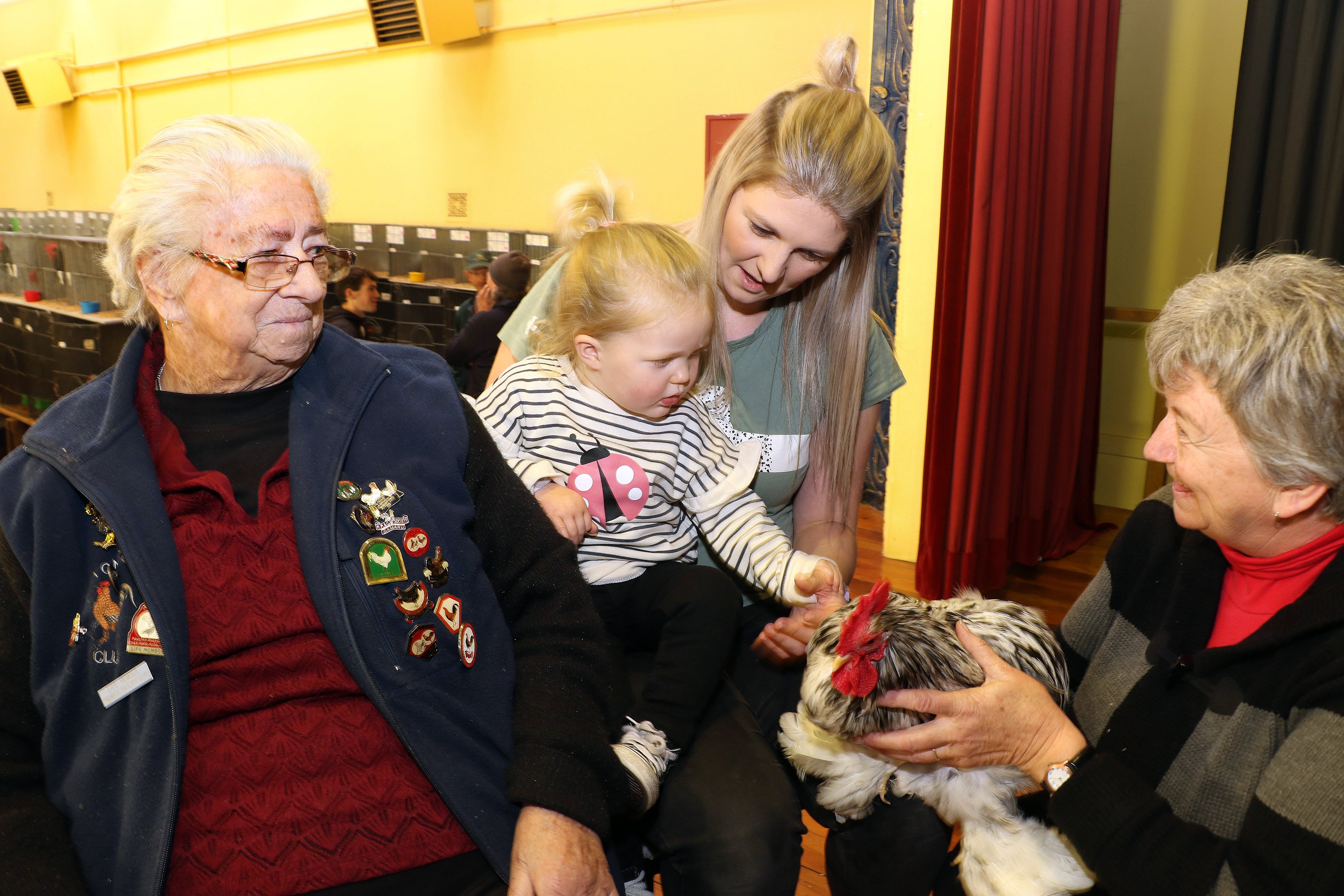 Breeding birds brings families together and at the Milton Poultry and Cage Bird Club’s 75th...