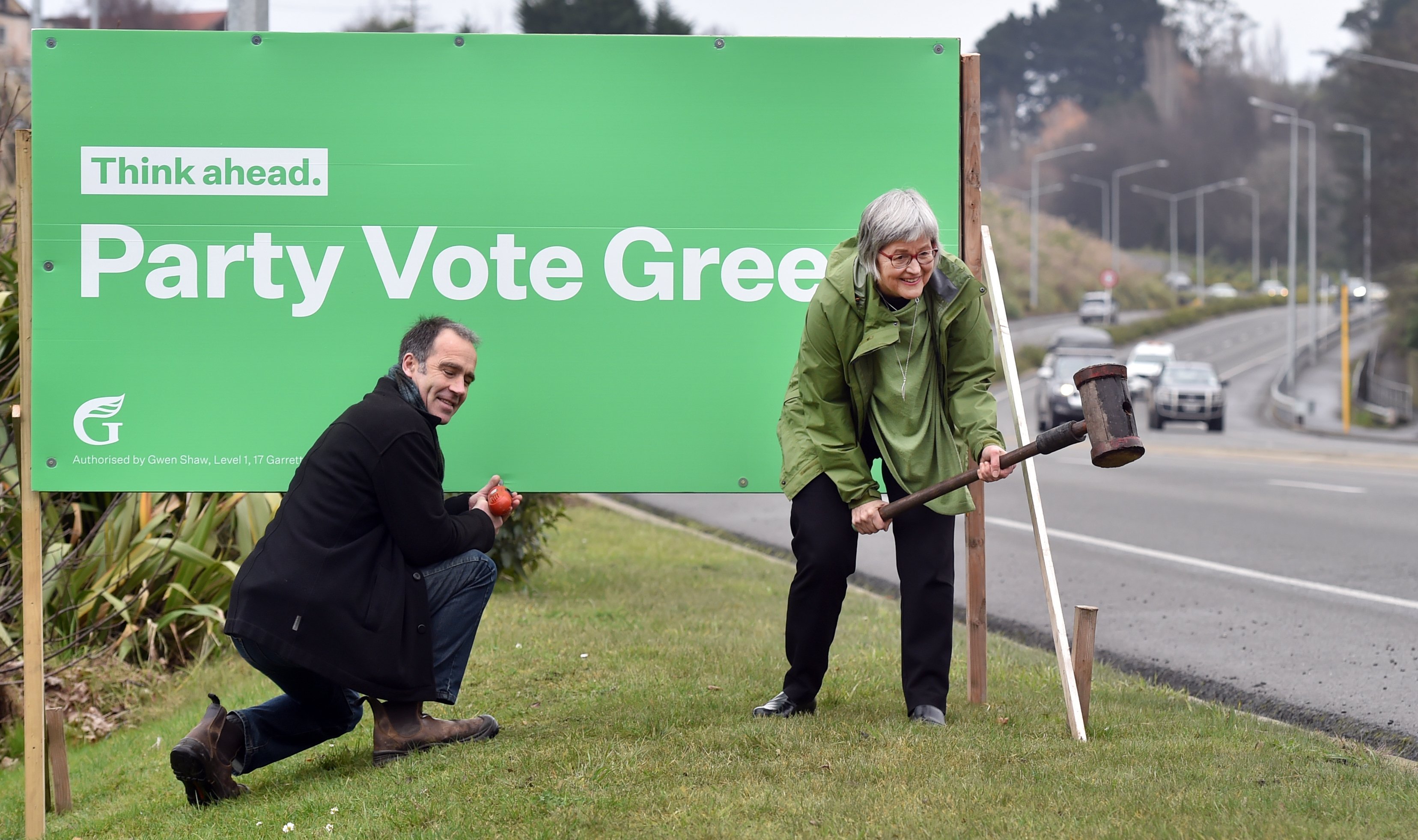 Green MP Eugenie Sage helps set up a sign for the party’s Taieri candidate, Scott Willis, during...