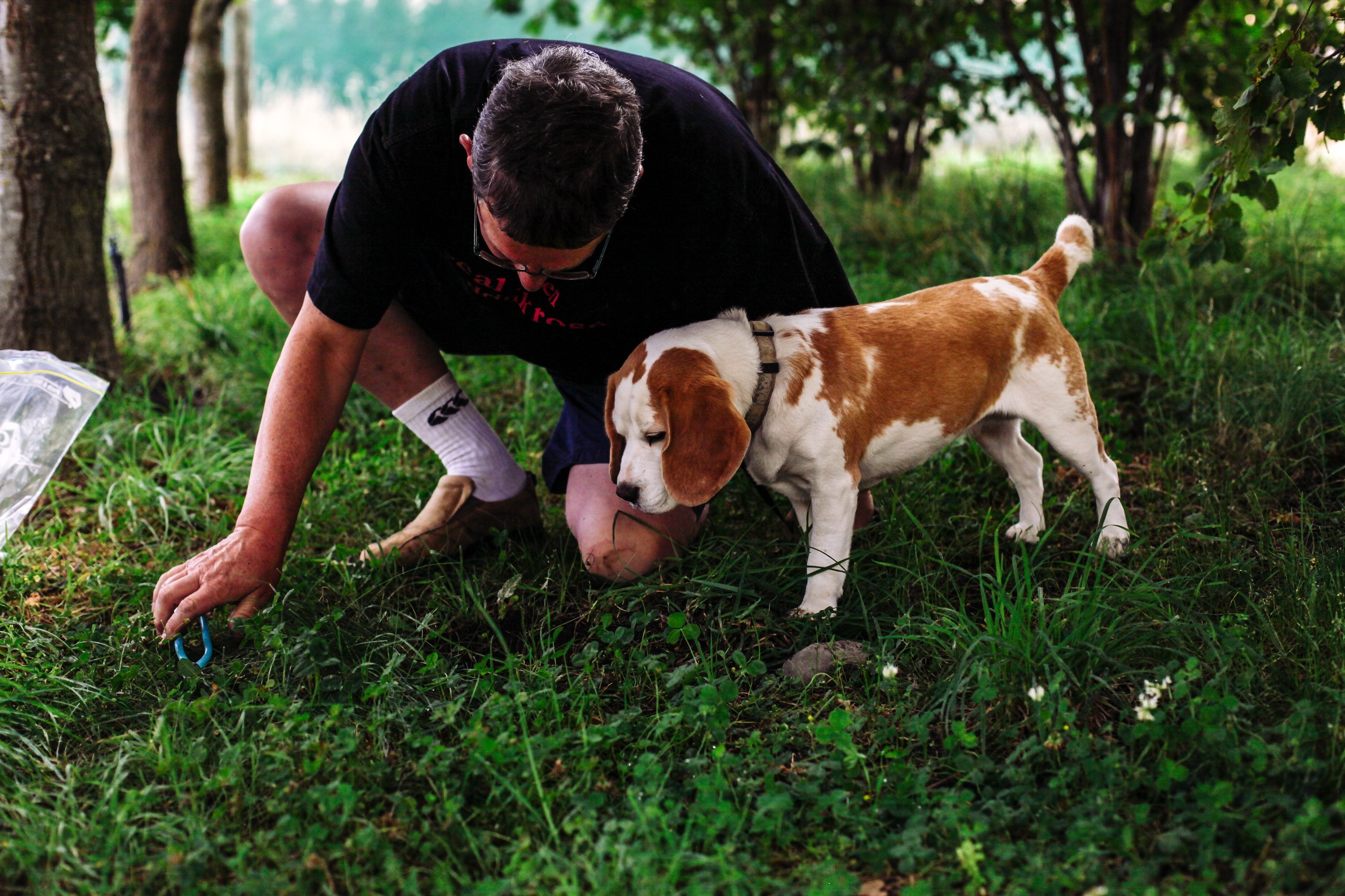 Limestone Hills owner Gareth Renowden, of Waipara Valley, and dog Rosie search for truffles in...