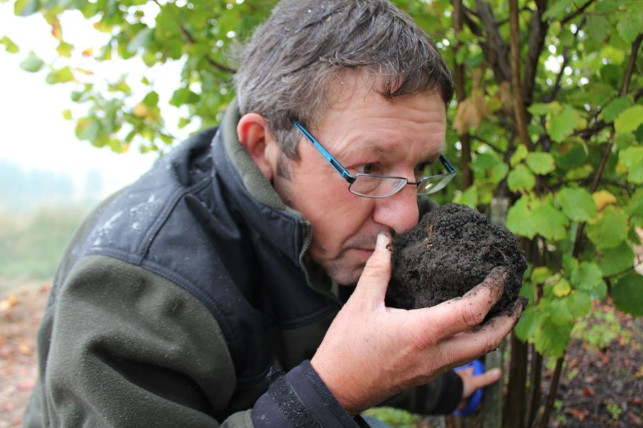 Limestone Hills owner Gareth Renowden, of Waipara Valley, smells a truffle in North Canterbury....
