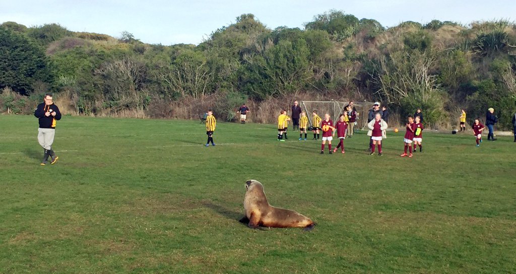 Junior football players from Grants Braes and Dunedin Technical wait patiently for a special...