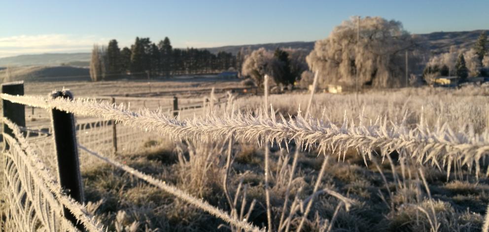 Central Otago experiences regular heavy frosts through winter. Photo: ODT file