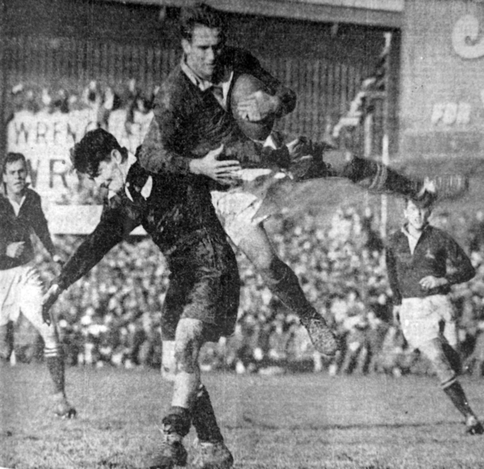 Springboks No8 Butch Lochner makes a spectacular leap to get the ball from All Blacks wing Morrie...