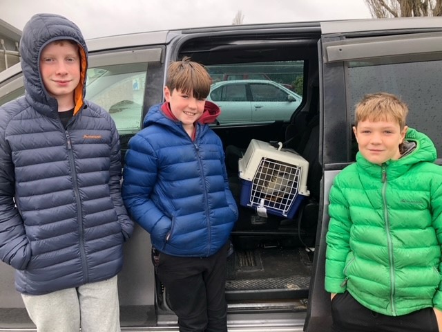 Oliver, Jamie and Leon captured the rooster. Photo: Supplied