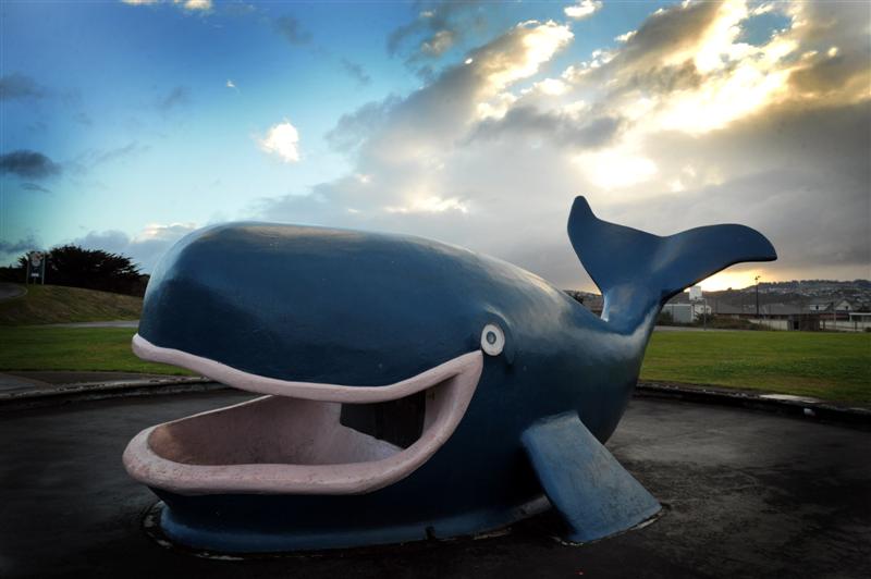 A demented whale in Marlow Park. Photos by Gregor Richardson/Linda Robertson.