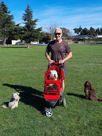 Lottie, Stella and Lulu get some fresh air with owner Mike Pero in Burnside Park. Photo: Fiona Ellis