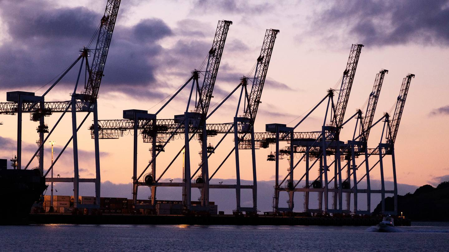 Crew aboard a ship which entered the Port of Tauranga have tested positive for Covid-19. Photo: NZ Herald