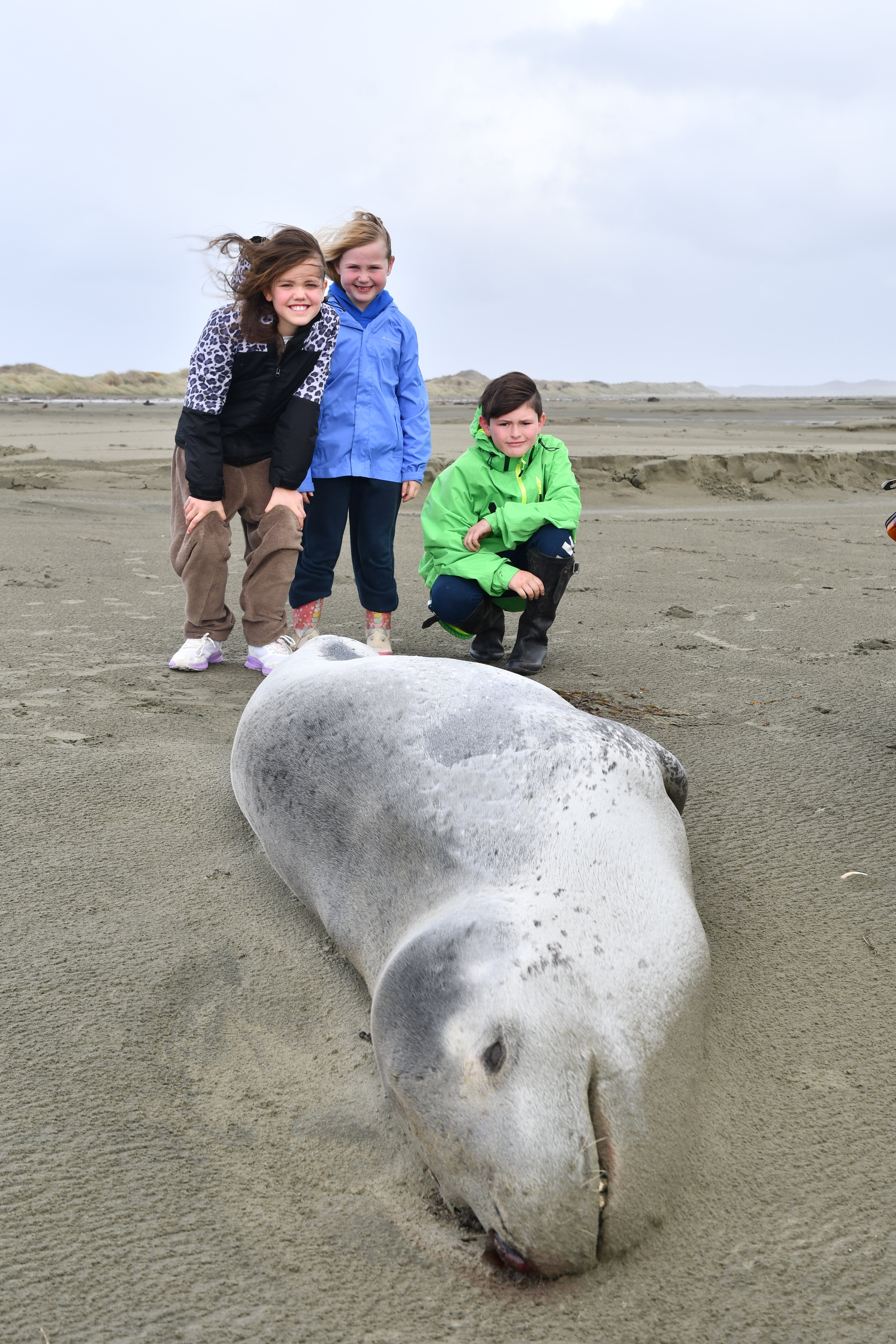 Invercargill siblings Caydence Kennerley (9), Ilish Moynihan (7) and Daniel Kennerley (10) stand...