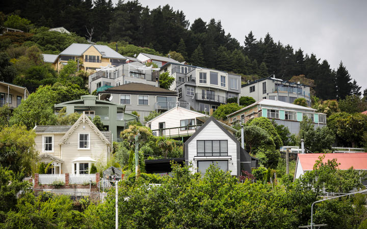 Photo: RNZ / Nate McKinnon