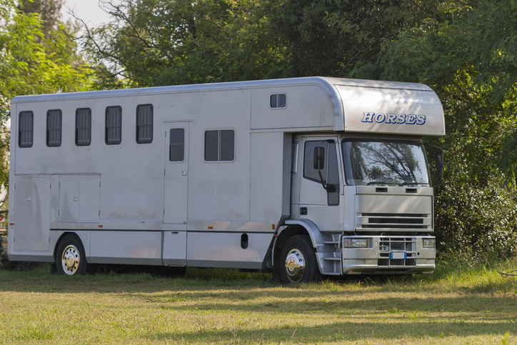 Horse truck getty