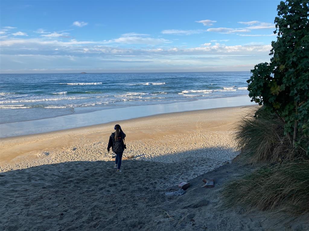 Middle Beach this morning. Photo: Stephen Jaquiery