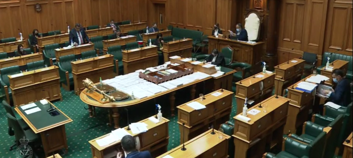 Labour and National voted for the bill at its third reading, with the Greens, ACT and Māori...