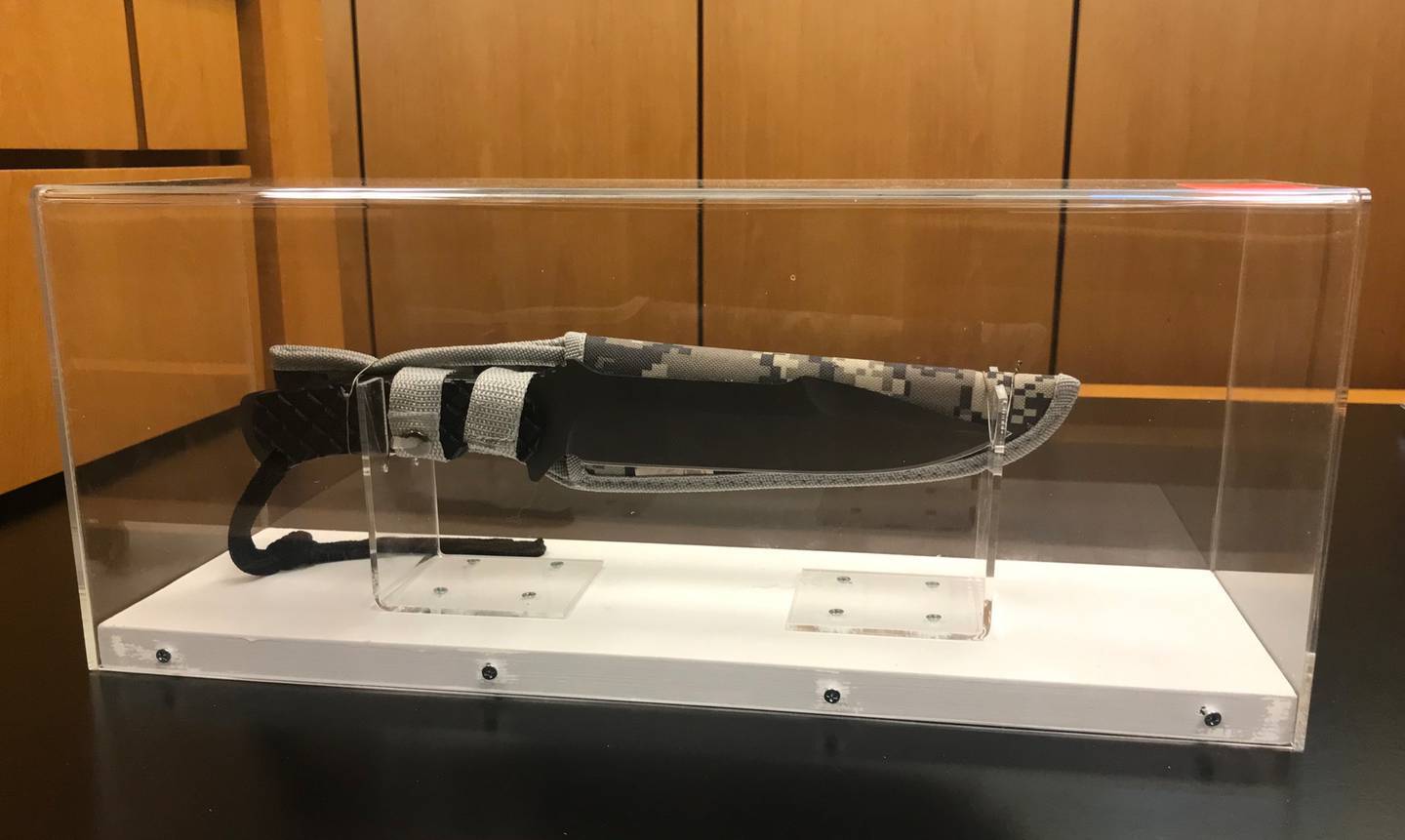 The hunting knife purchased by S was presented as evidence in the trial earlier this year. Photo:...