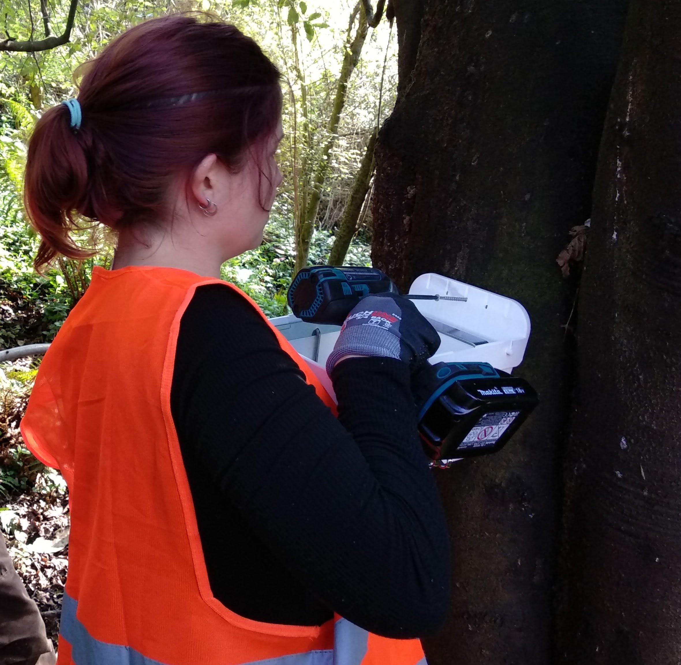 Open Valley Urban Ecosanctuary community trapping co-ordinator Emily Peterson demonstrates fixing...