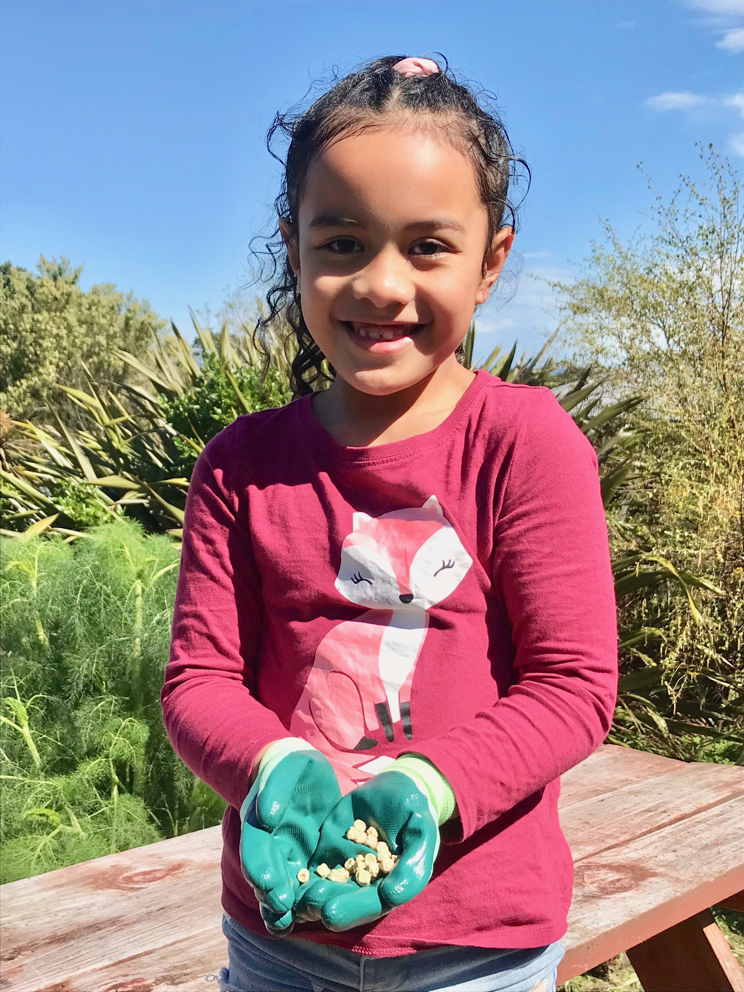 Teamairo Moeroa (7) shows the peas she plans to sow. PHOTO: GILLIAN VINE