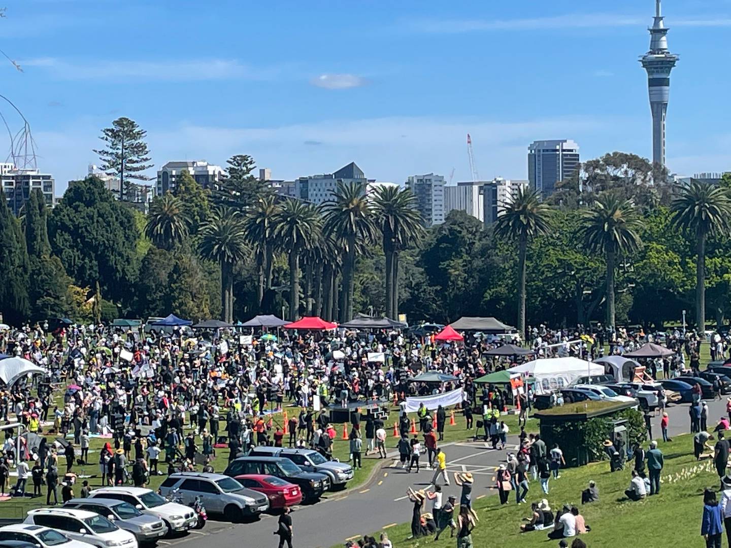 Protesters assembled at the Auckland Domain today. Photo: NZ Herald