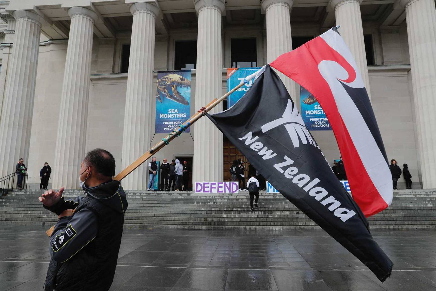 Anti lockdown protest at the Auckland Domain. Photo: NZ Herald