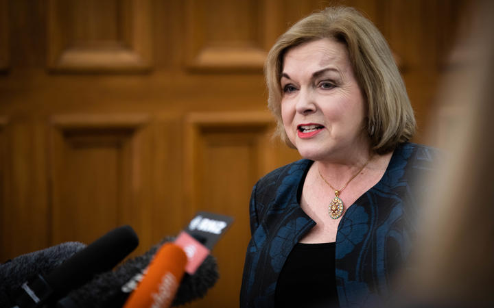 National leader Judith Collins. Photo: RNZ