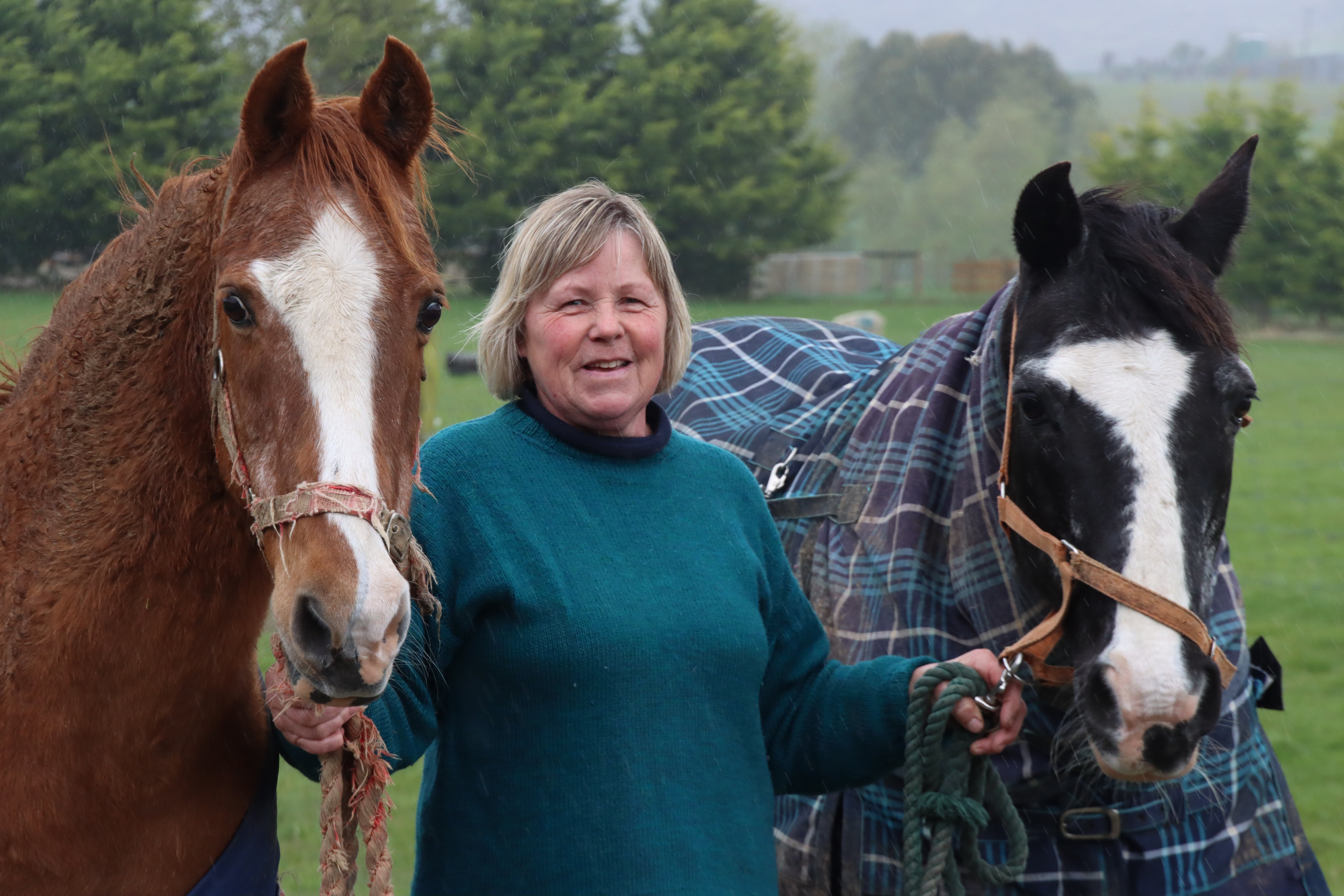 Gore woman Jane Allen says her horses Jimmy (left) and Jeremy were very compassionate during the...