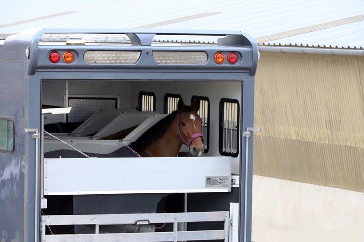 Horse truck Getty