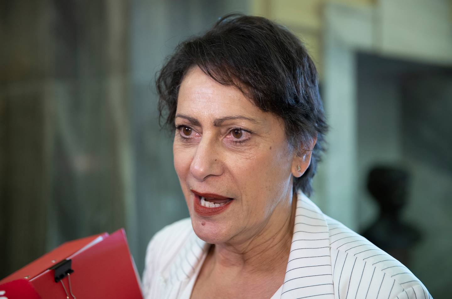 Poto Williams. Photo: NZ Herald Poto Williams. Photo: NZ Herald