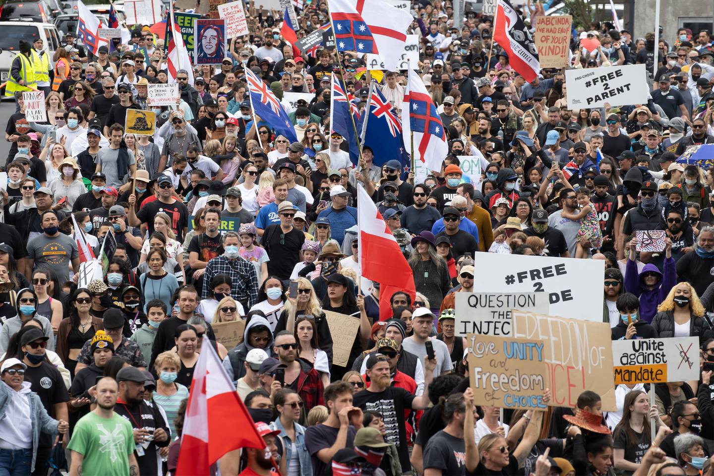 A large anti-lockdown protest took place in Auckland at the weekend. Photo: NZ Herald A large anti-lockdown protest took place in Auckland at the weekend. Photo: NZ Herald