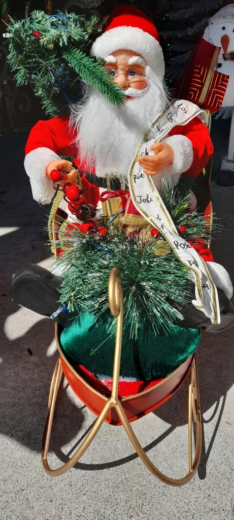 Photo: Supplied via Ashburton Courier