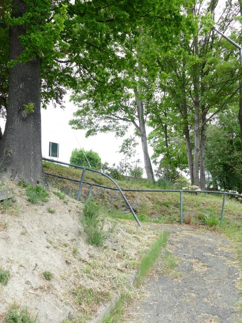 The Lawrence-Tuapeka Community Board has decided this oak tree near the top of the town’s Zig-Zag...