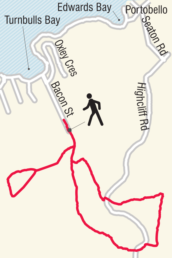 Hereweka Harbour Cone walk.