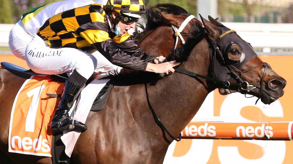Probabeel, who was also named champion sprinter-miler, gained 29 votes for Horse of the Year,...