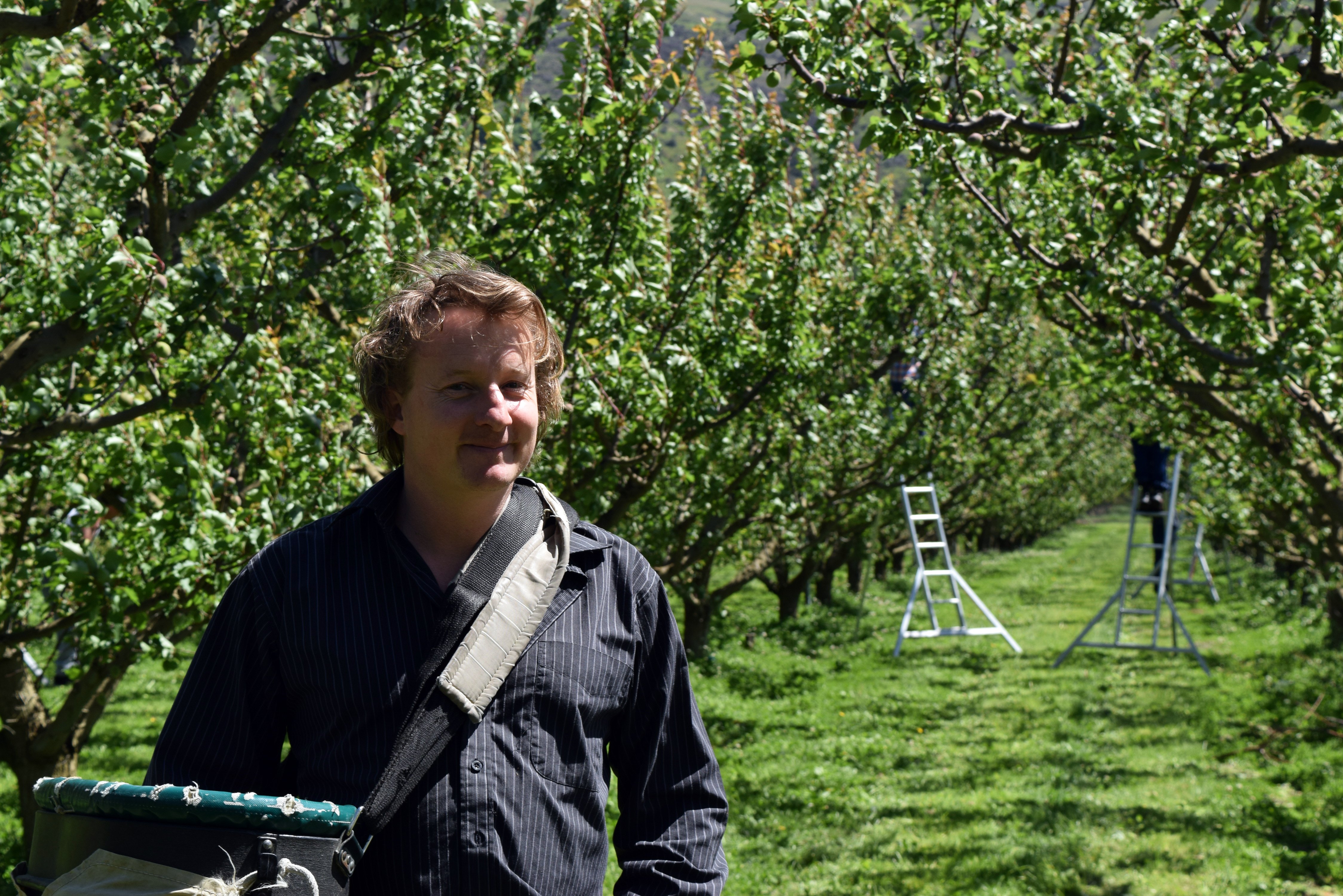 Fairview Orchard owner Jered Tate needs more staff to work on his orchard in Teviot Valley,...