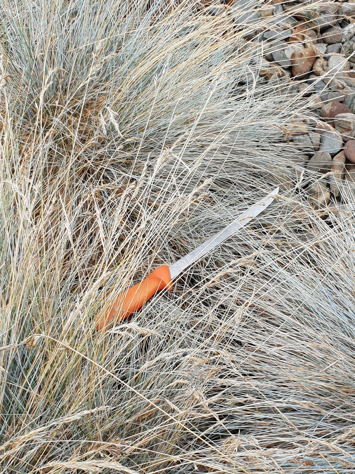 The homeowner found a knife discarded in grass after chasing a meth-crazed intruder who was...