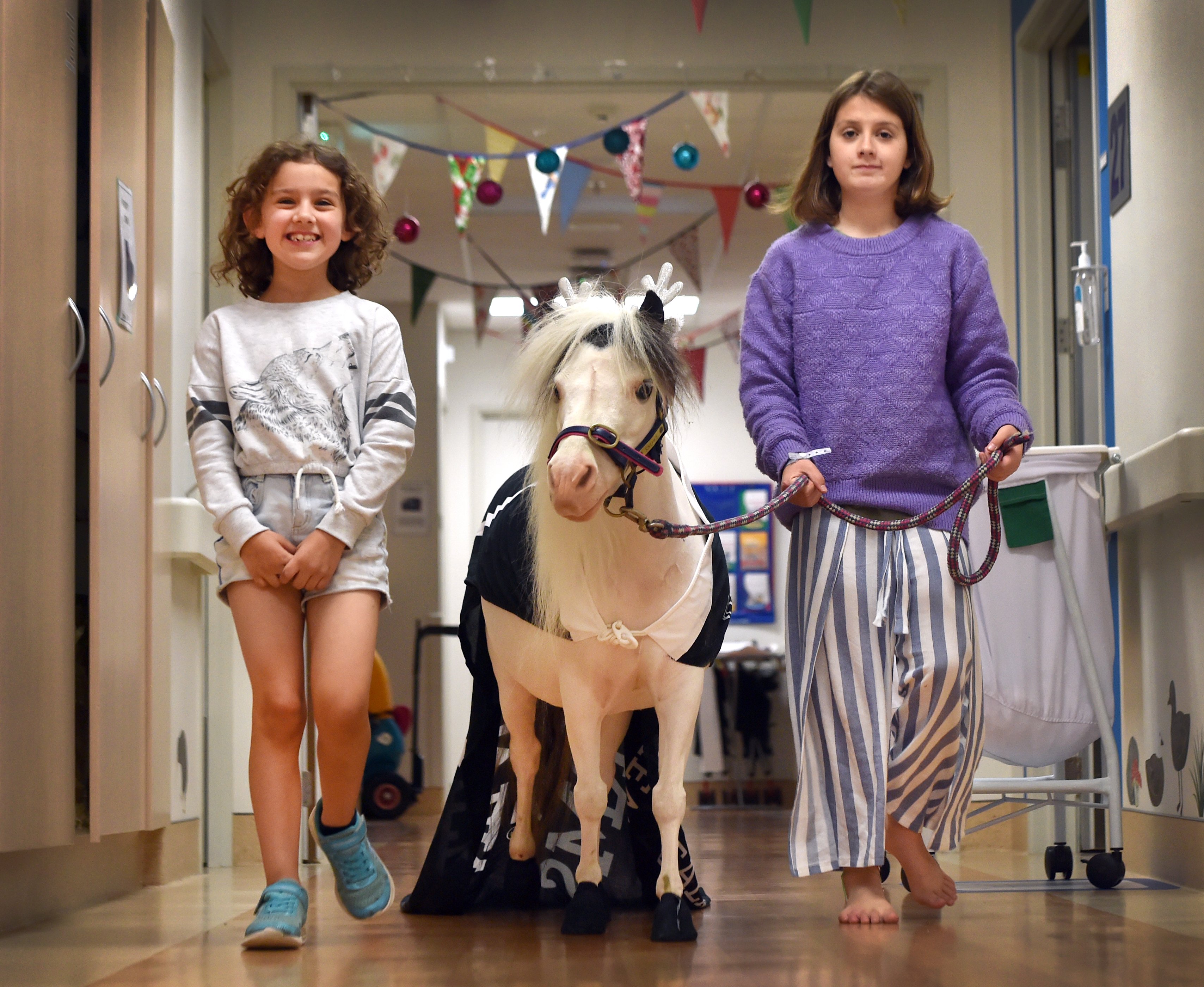 Leading Snowy the miniature horse through Dunedin Hospital’s paediatric ward yesterday are Keira ...