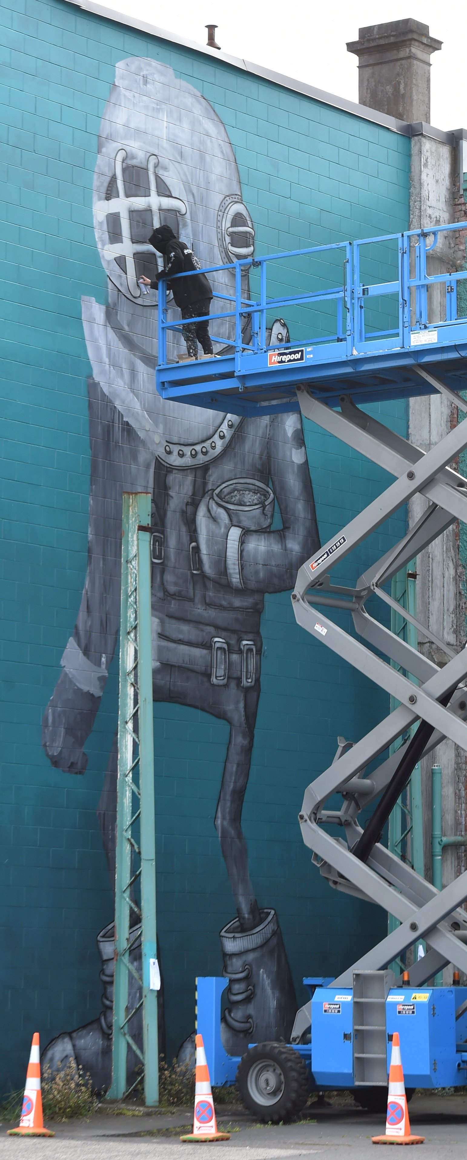 The Dunedin Street Art project has commissioned a new mural to replace the giraffe near the...