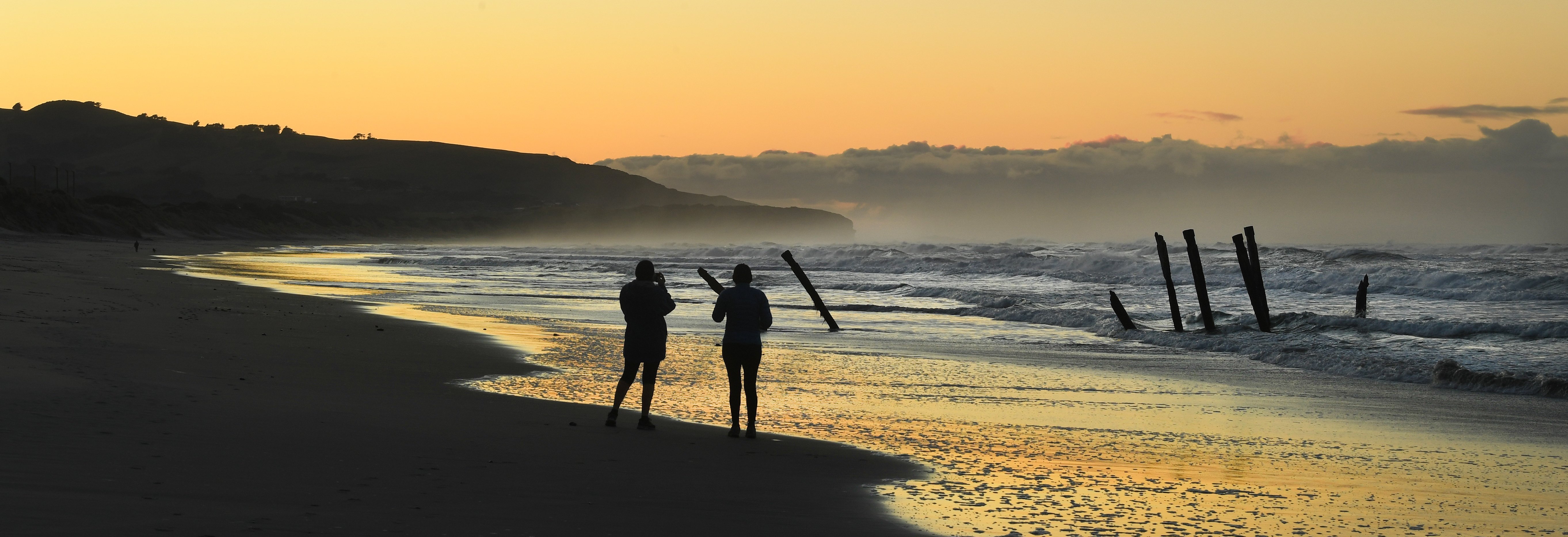 The St Clair poles in August last year. Photo: Stephen Jaquiery