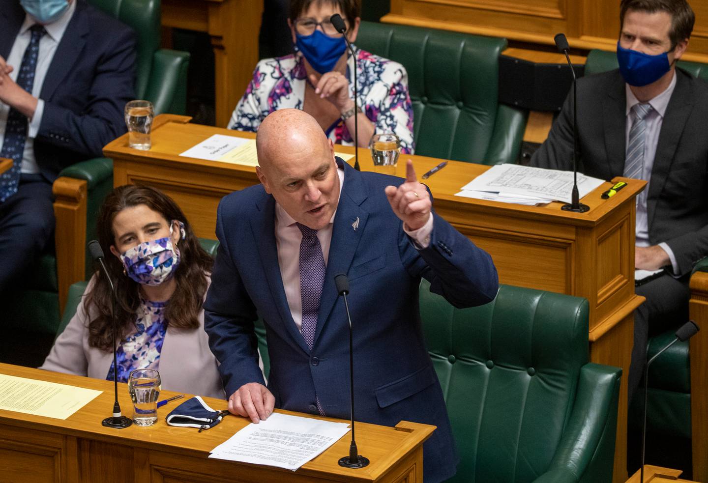 National Party leader Christopher Luxon. Photo: Mark Mitchell