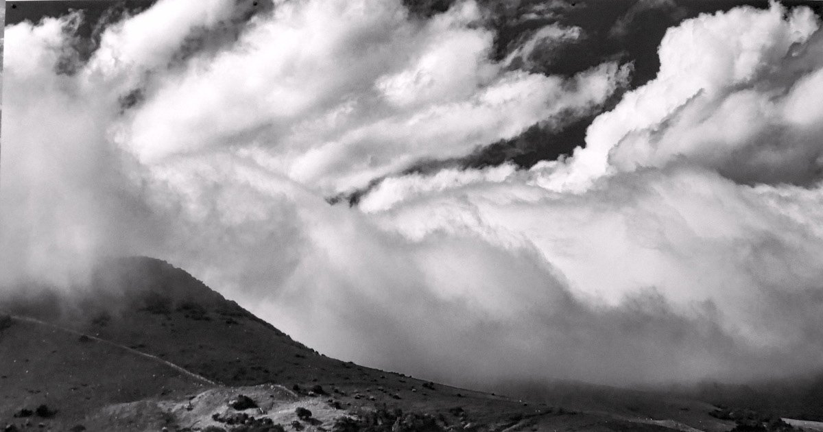 2022 Esperance, by Adrian Hall.