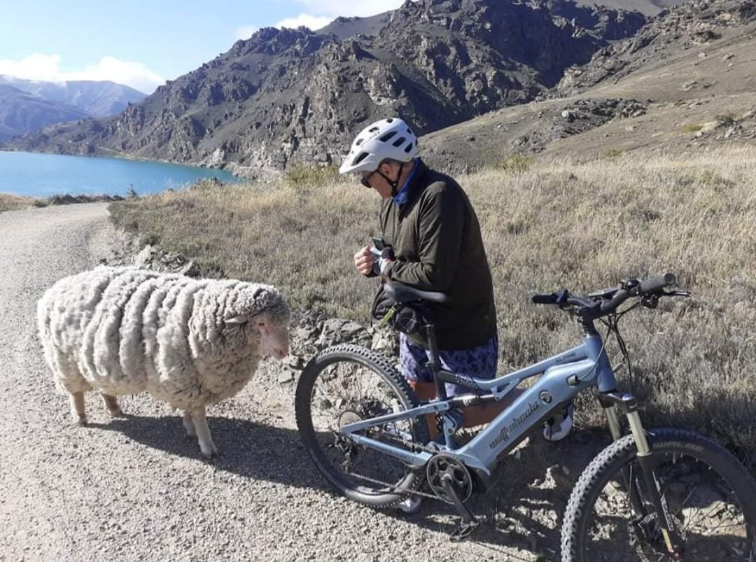 A rogue ram’s rampage against cyclists on the Lake Dunstan Cycle and Walking Trail ended in the...