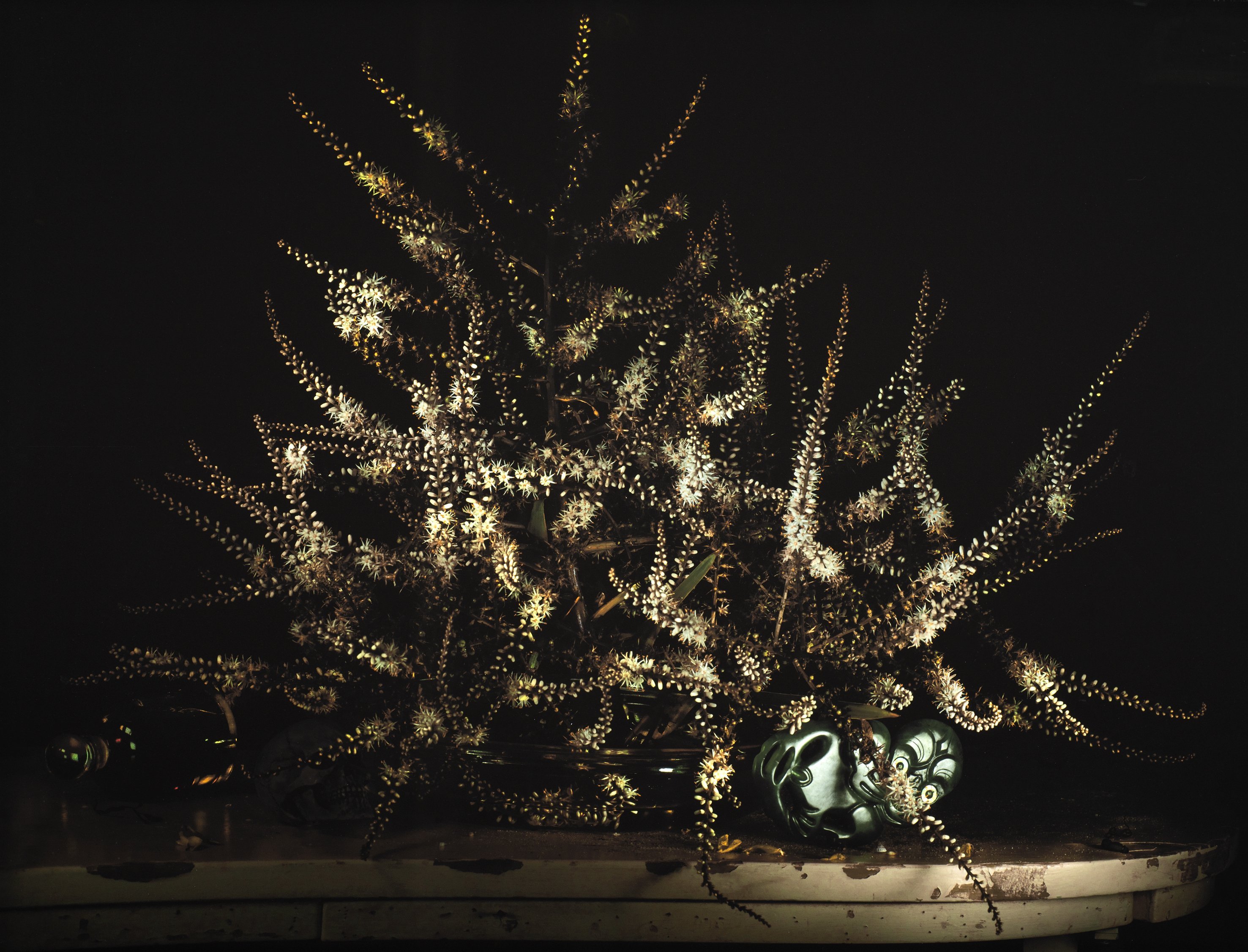 Taonga Christmas 2022 Hidden Depth Of Taonga In Still Life | Otago Daily Times Online News