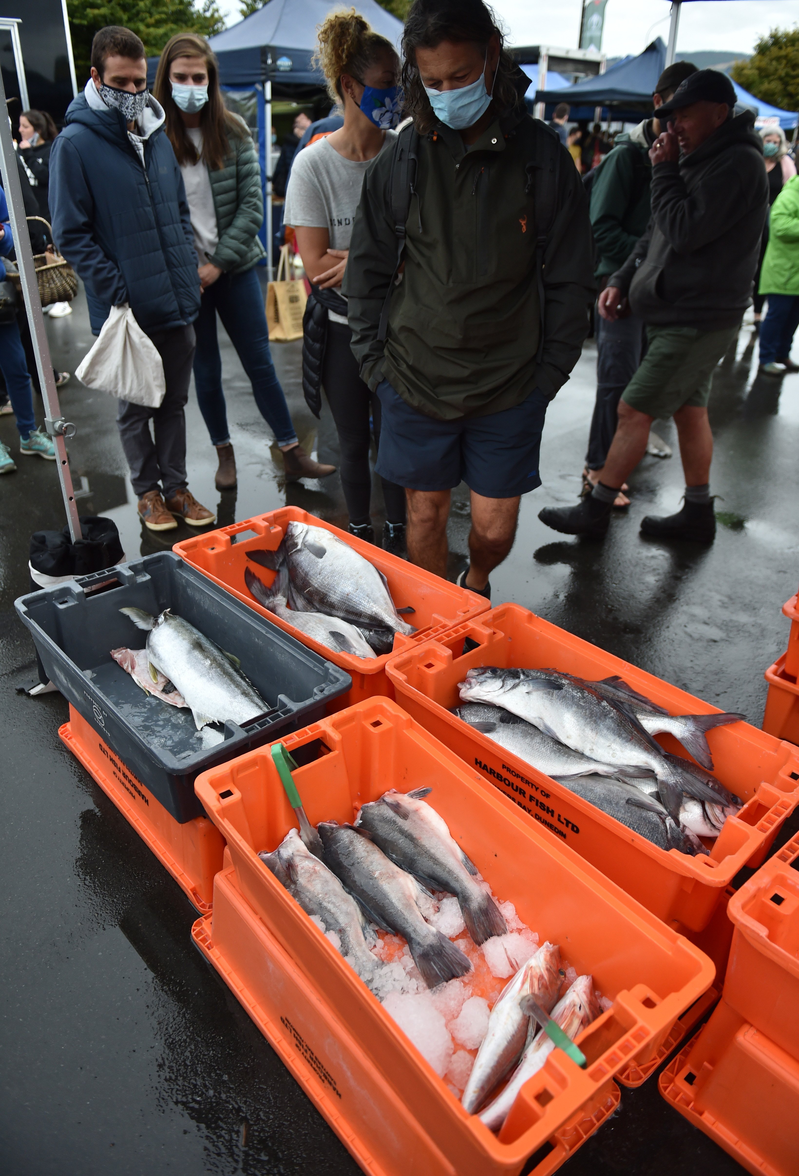 Harbour Fish’s stall at the Otago Farmers Market. PHOTO: GREGOR RICHARDSON
