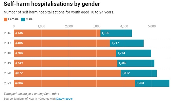 Graphic via NZ Herald