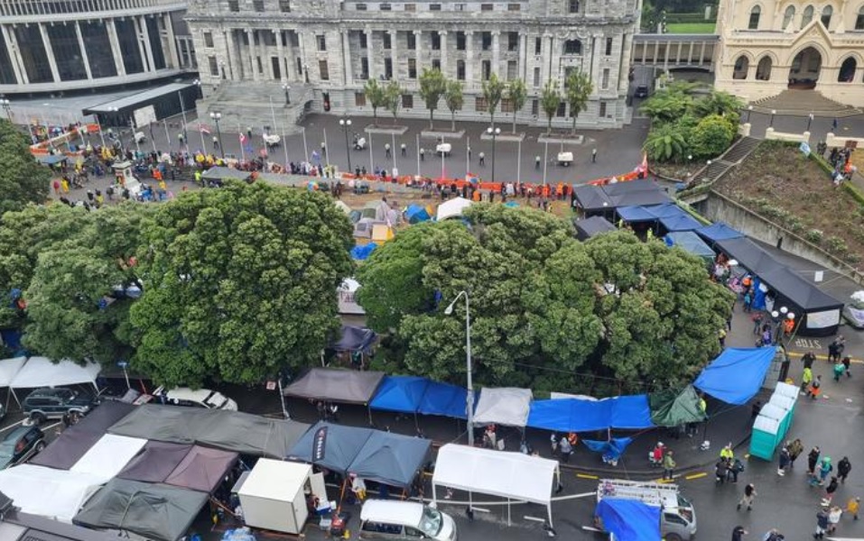Protesters' vans and cars blocking Molesworth St outside Parliament grounds, and tarpaulin...