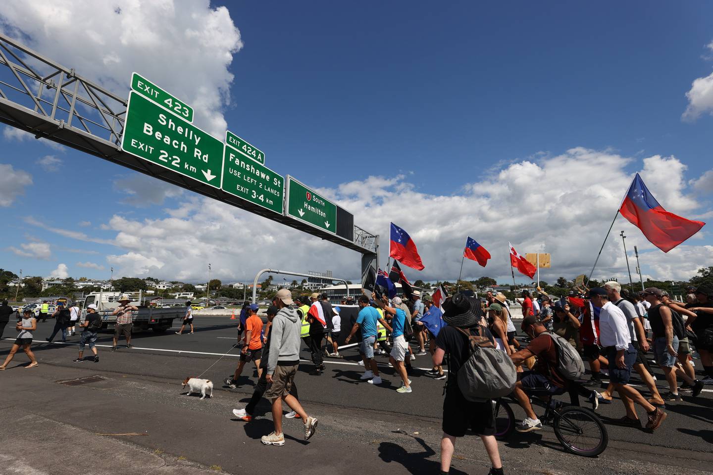 Protesters on the Auckland Harbour Bridge this afternoon. Photo: NZ Herald