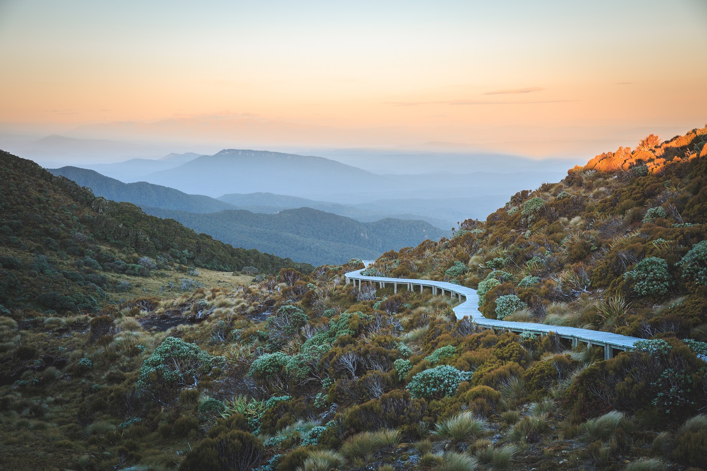 The Hump Ridge Track. Photo: Department of Conservation