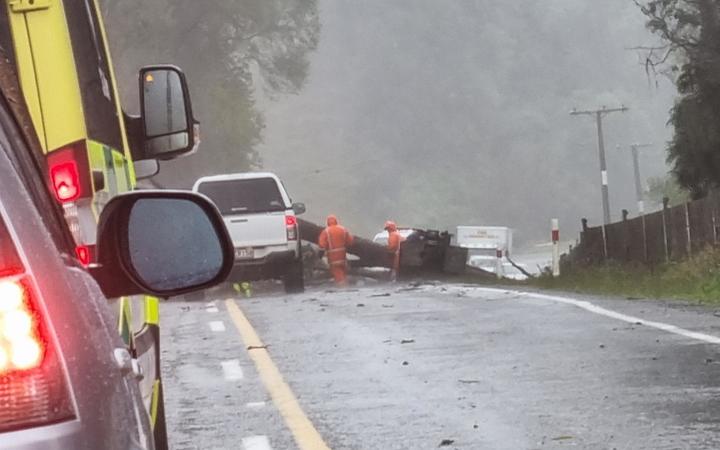 A fallen tree being cleared from SH35 south of Tokomaru Bay yesterday. Photo: RNZ 