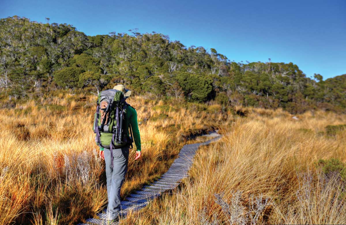 The Heaphy Track is located in the South Island's Kahurangi National Park. Photo: DOC