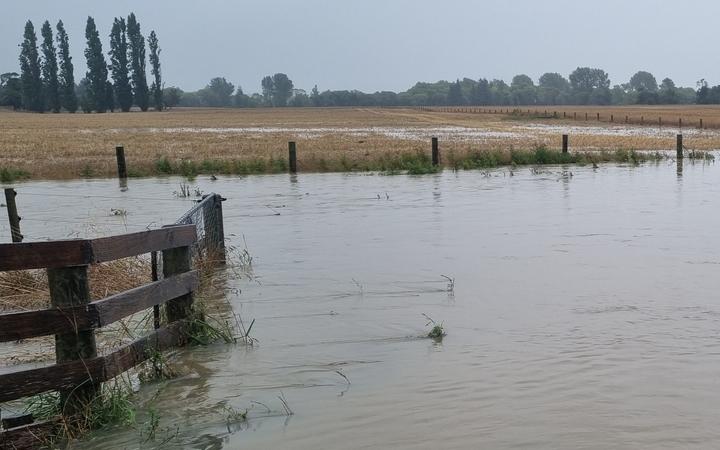 Wairarapa arable farmer Karen Williams said heavy rain in February was the worst she had seen...